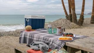 E LUNI e AMAZON: Mobicool MQ40W, ladă frigorifică electrică portabilă de 39 l cu alimentare 12V/230V și roți, ideală pentru camping și vacanțe