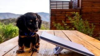 Cât mai costă internetul prin sateliți în România; Starlink renunță la taxa de instalare și oferă echipamentul gratuit