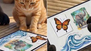 Huawei pregătește o tabletă MatePad Pro Max, cu dotări și mai high-end