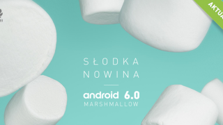 Huawei P8 Lite primește acum actualizarea la Android 6.0 Marshmallow pe plan european
