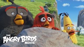 Filmul Angry Birds are premiera vineri în SUA, are toate ingredientele unui eşec