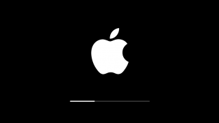 Apple va oferi recompense financiare hackerilor ce găsesc vulnerabilități software în iOS