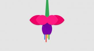 Google lucrează la un sistem de operare numit Fuchsia; acesta ar putea fi un soi de Tizen OS pentru hardware mai slab