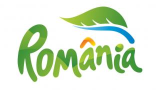 My 2 cents: unde sunt operatorii verzi de la noi? Cât de mult contează culoarea unui logo?