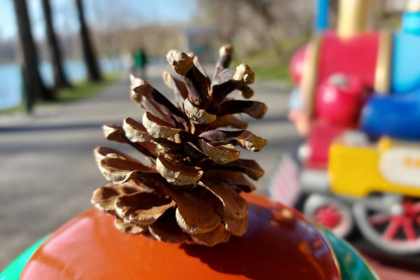 Samsung Galaxy A71 - Mostre Foto (bokeh)