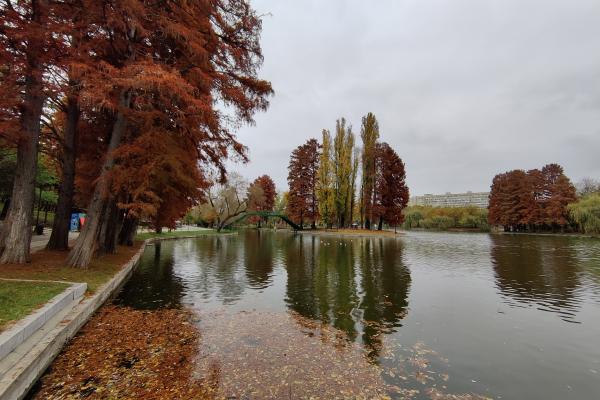 OnePlus 8T - Mostre Foto (ziua)
