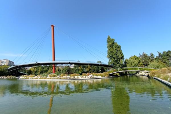 Redmi 10 - Mostre Foto (ziua)