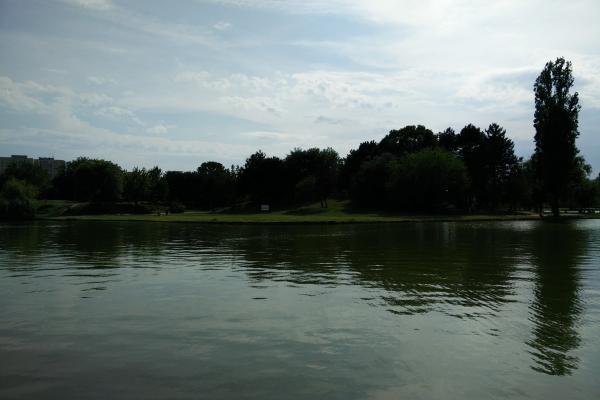 OnePlus One - Mostre Foto (ziua)