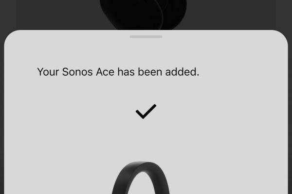 Sonos Ace - Aplicație