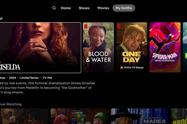 Interfață nouă Netflix