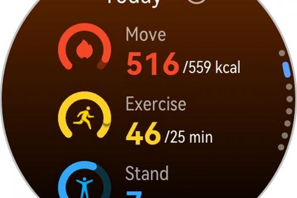 HUAWEI Watch GT 6 Pro - Screenshots pe ceas