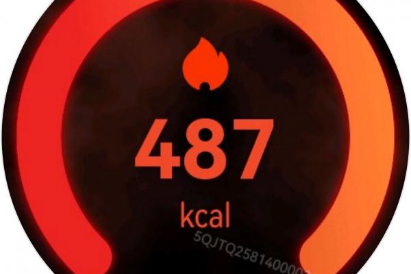 HUAWEI Watch Ultimate 2 - Screenshots Health