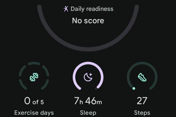 Google Pixel Watch 4 45mm - Screenshots Fitbit