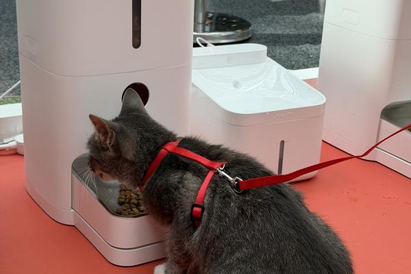 Xiaomi Pet Cafe, Park Lake - Fotografii stand