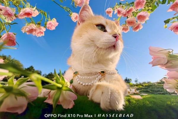 Mostre foto OPPO Find X10 Pro Max