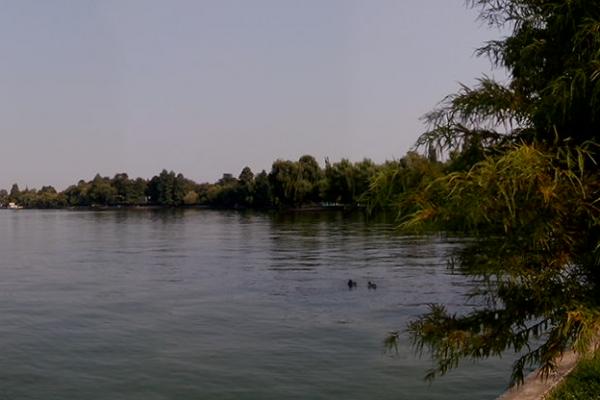 Allview P4 AllDro - Mostre Foto (ziua)