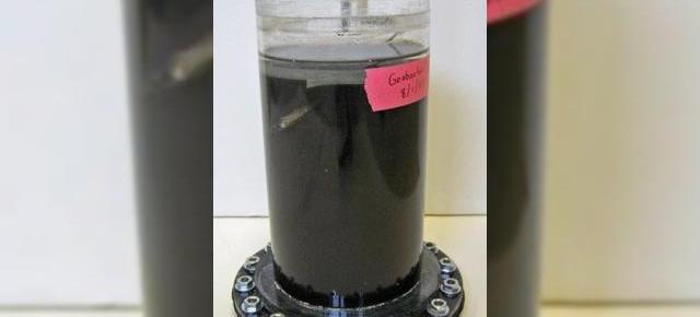 Bateriile telefoanelor mobile vor functiona pe baza de bacterii!
