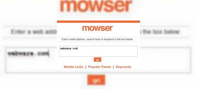 Mowser isi da obstescul sfarsit in umbra unui Internet mobil cu probleme