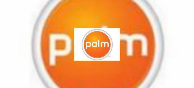 Palm anunta pierderi importante in ultimul trimestru