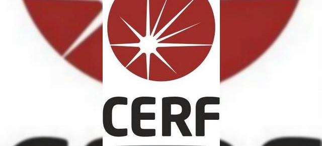 CERF 2009 are blog!