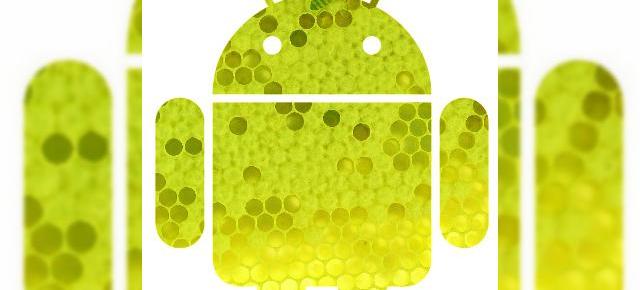 Android 3.5 va purta numele de cod Honeycomb, urmasul lui Gingerbread