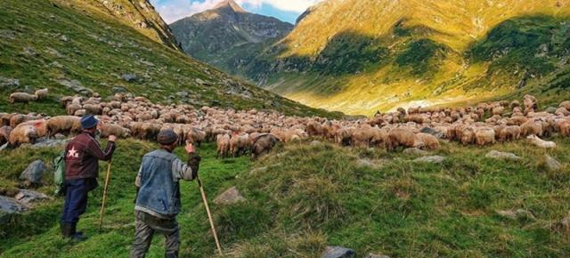 Un fotograf premiat dă sfaturi cu privire la fotografiile ideale cu smartphone-ul, preferă modelele Xperia