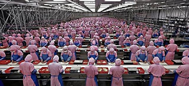 Foxconn ar fi încălcat legile din China pentru a putea produce destule unităţi iPhone 11: muncă peste program, angajati temporari, elevi de liceu