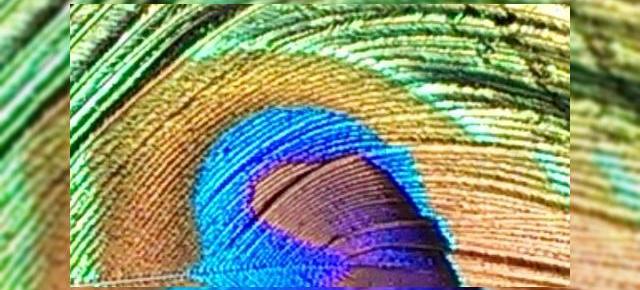 și mai multe detalii despre camera lui HTC One: detalii din culise despre Ultrapixel