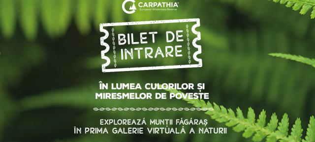 Fundația Conservation Carpathia lansează prima expoziție virtuală din România dedicată Munților Făgăraș; Iată cum o poți accesa!