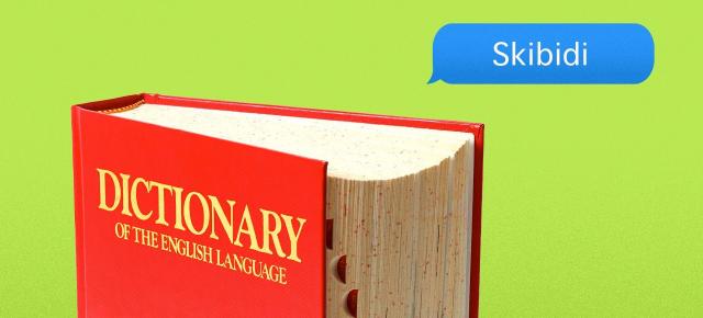 „Skibidi” şi „delulu” au intrat în dicţionarul Cambridge, preluate direct din lingo-ul meme-urilor