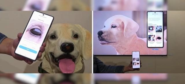 Verifică sănătatea animalului tău de companie cu o singură fotografie; Samsung a lansat un sistem AI veterinar