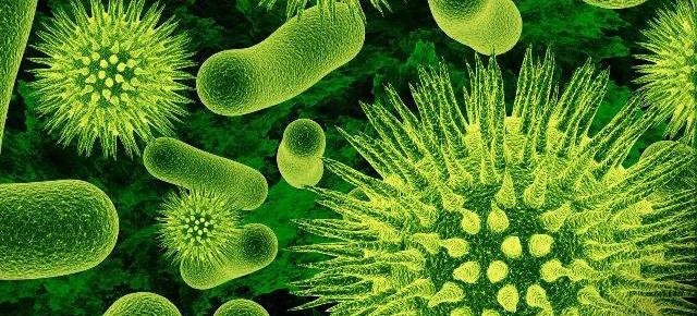 BlackBerry pregăteşte un telefon rezistent la bacterii, destinat spitalelor