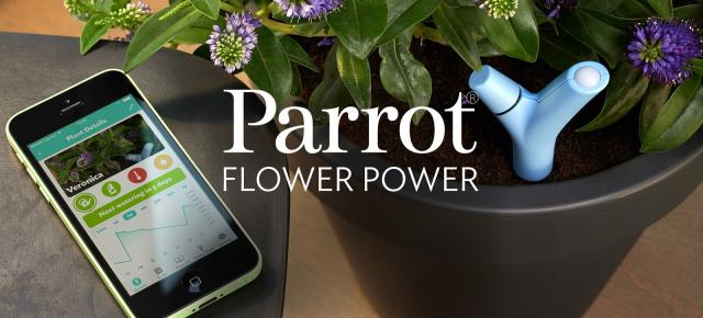 Parrot Flower Power, unealta de nădejde a agricultorilor ajunge la eMAG
