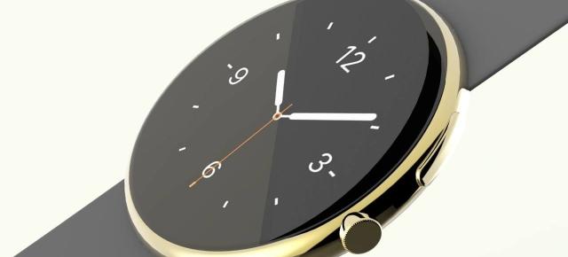 HTC lucrează la un smartwatch Android Wear cu numele de cod al unui peşte exotic: "halfbeak"
