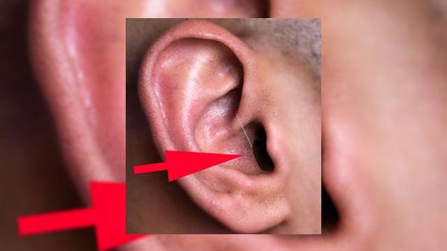 <b>Headsetul invizibil, aliatul oricarui student</b>Cei de la intomobile.com au depistat un headset invizibil, care cu siguranta face cu ochiul oricarui student prins in sesiune la aceasta ora. Headsetul este oferit de catre compania Brickhouse Security si poarta numele de "Secret Service Invisibile 2-way...