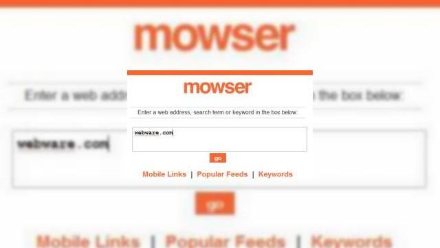 <b>Mowser isi da obstescul sfarsit in umbra unui Internet mobil cu probleme</b>In cazul in care nu ati auzit de Mowser, trebuie sa aflati ca acesta este un motor de adaptare a continuturilor care transforma website-uri standard in URL-uri destinate telefoanelor mobile. Se pare totusi ca Mowser nu a fost un succes si developerul sau...