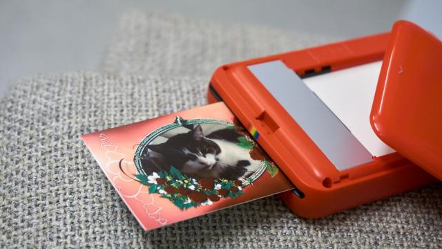 <b>Turul Magazinelor #236: Turul imprimantelor portabile de fotografii, text şi bonuri</b>Pentru voi avem astăzi o serie de recomandări din categoria imprimantelor portabile pentru fotografii, a celor pentru bonuri, cât și a imprimantelor clasice ce ne ajută la printarea text. Toate acestea le includem în Turul Magazinelor și aflați că