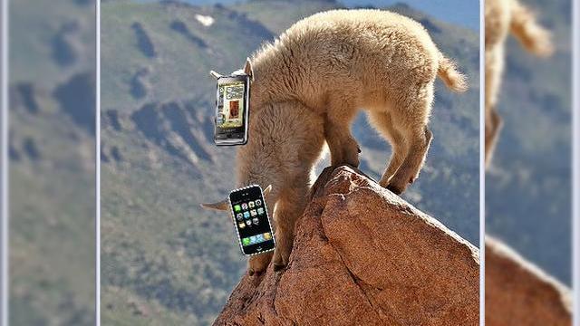 <b>Samsung Omnia il detroneaza pe iPhone 3G din topurile de vanzari</b>Krusell, cunoscutul producator suedez de carcase pentru electronice portabile a lansat lista sa "Top 10" pentru luna noiembrie a acestui an. Ea include cele mai populare terminale mobile, ce alcatuiesc un top, creat in functie de numarul de carcase...