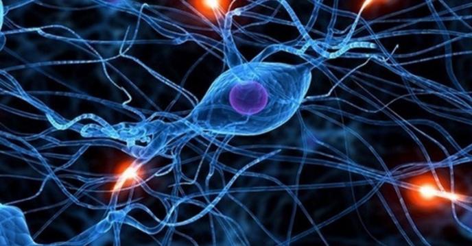 <b>AI-ul Google bate Bing şi Siri la un "test de IQ", este sub un copil de 6 ani</b>Aflăm astăzi detalii despre un test interesant realizat de către o serie de experți AI-urilor de pe piață. Ne este prezentat un adevărat test de IQ dintre Google, Bing și Siri. Rezultatele obținute sunt unele chiar inedite și descoperim prin această