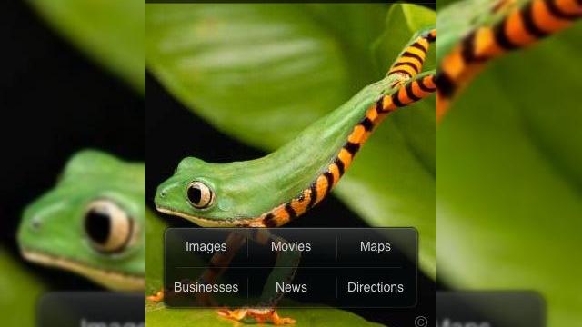 <b>Microsoft lanseaza o aplicatie Bing pentru iPhone</b>Microsoft tocmai a lansat o aplicatie Bing pentru iPhone, aprobata fara probleme de catre Apple si inclusa in App Store. Dupa cum probabil va asteptati, softul va fi folosit pentru cautari web si el este destul de impresionant, la prima vedere. &nbsp;...