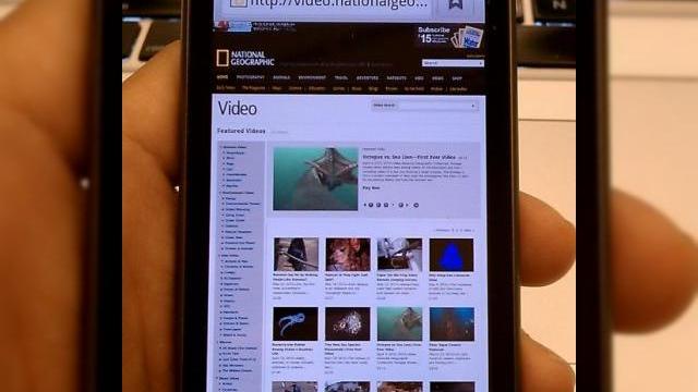 <b>Adobe Flash 10.1 ruleaza fara probleme pe Nexus One (Video)</b>Playerul Adobe Flash 10.1 a sosit in sfarsit, cu ocazia showului Google I/O, unde a fost prezentat ruland pe un handset Nexus One. Stim deja ca Apple si Steve Jobs refuza sa foloseasca tehnologia Flash pe iPhone, motiv in plus pentru Google si Android sa...