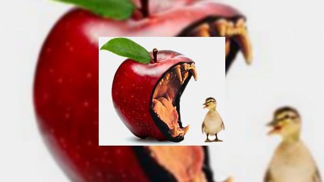 <b>Atitudine de bătăuș de curtea școlii!? Apple da În judecată un puști de 17 ani pentru vânzarea de carcase iPhone 4...</b>Apple risca să își atragă reacții neplăcute și chiar să își piardă din fani după ultima sa decizie, aceea de a da în judecată un puști de 17 ani. Acesta ar fi vândut o serie de carcase speciale pentru iPhone 4, transformându-l într-un...