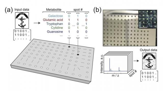 <b>Drive de stocare cât o moleculă? Oamenii de știință au reușit să stocheze date în cel mai mic format de până acum</b>Primul lucru la care m-am gândit când am auzit că există un drive de stocare cât o moleculă, e că ar fi bun în următorul film cu James Bond. Cercetătorii de la Universitatea Brown au anunțat că au descoperit o modalitate