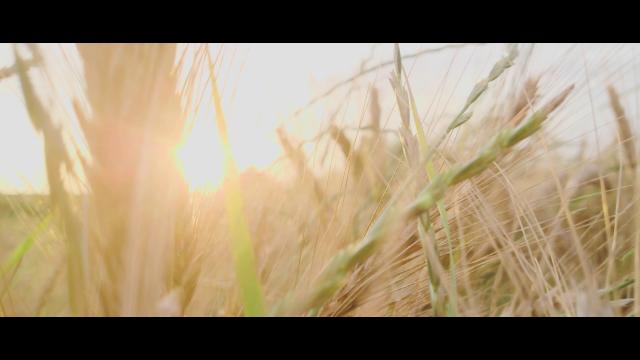<b>Am filmat un scurt metraj demn de festivaluri cu aplicaţia Cinema Pro de pe Sony Xperia 1; Iată rezultatul (Video)</b>Atunci când am realizat recenzia lui Sony Xperia 1 nu am putut insista pe aplicaţia Cinema Pro aşa mult cum am fi dorit. Este un software special pentru cei care ştiu cu ce se mănâncă înregistrarea cinematografică şi editarea profi