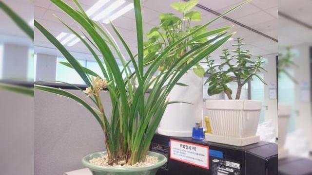 <b>Samsung Galaxy S III Își dezvăluie potențialul camerei Într-o primă fotografie de test</b>Cei de la Pocketnow par destul de siguri că au pus mâna pe o primă fotografie realizată cu Samsung Galaxy S III, telefon care în urmă cu o săptămână făcea furori pe web printr-o imagine care s-a dovedit a fi un concept. Confirmarea...