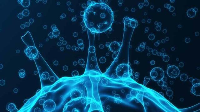 <b>Epidemia de coronavirus va afecta toţi producătorii mari de telefoane, exceptând Samsung în primă fază</b>Auzisem deja că Apple va fi afectată serios de faptul că Foxconn şi-a închis din fabrici din cauza coronavirusului, iar acum descoperim că TOŢI producătorii de telefoane vor avea de suferit din cauza