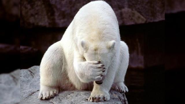 <b>Top 5 dezamăgiri ale anului 2012: Apple Maps, Nokia, Sony și alții! (Editorial)</b>După un top 10 pentru telefoane, unul pentru tablete și unul pentru jocuri, trecem în zona mai întunecată a tehnologiei din acest an. Multe din inovații presupun experimente și unele experimente eșuează. Uitați-vă la tableta HP TouchPad, la...