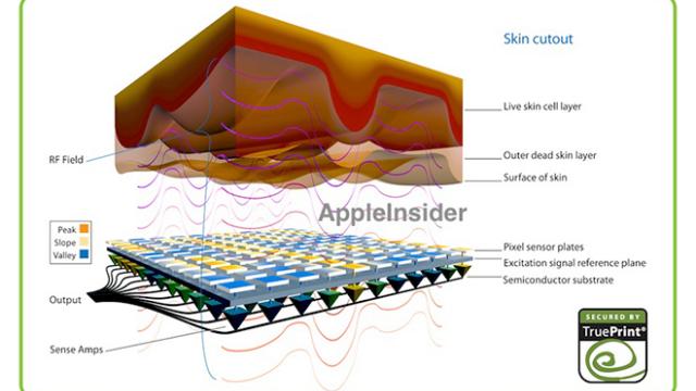 <b>Buton Home de safir pe iPhone 5S și scanner de amprente integrat În el! Iată noua teorie a unui analist!</b>Celebrul analist Ming-Chi Kuo de la KGI are un record foarte bun când vine vorba de predicții și speculații legate de Apple, iar astăzi el oferă câteva predicții pentru iPhone 5S. Se pare că terminalul va integra până la urmă un scanner pentru...