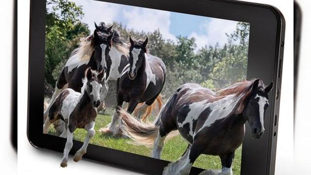 <b>O nouă tabletă 3D cu ecran ce nu necesită ochelari speciali pentru vizualizare e acum disponibilă: Hammacher Schlemmer</b>A trecut ceva vreme de când am auzit de o tabletă cu ecran 3D, dar iată că astfel de terminale încă mai există. Unul dintre modele vine de la compania Hammacher Schlemmer și nu necesită ochelari speciali pentru vizualizare. &nbsp; Interesant e...