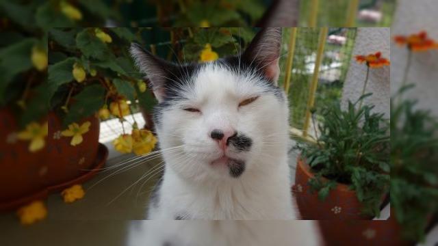 <b>Au Început scăpările legate de LG G3! Iată o primă fotografie realizată cu acest device</b>știam deja că înainte de lansarea lui LG G3 îl vom vedea pe LG G2 Pro, ceea ce s-a întâmplat la MWC 2014. Mai știam și că G3 va sosi la vară, dacă nu chiar mai târziu, servind drept flagship și rival pentru Galaxy S5 și noul HTC One. Ei bine...